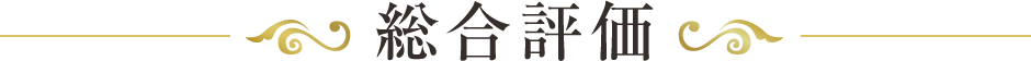 総合評価